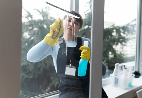 Nettoyage de vitres intérieures et extérieures à Saint-Théodorit